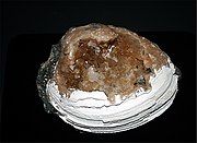 a cast Fossil shell with the replacement by calcite crystals