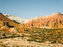 Hilly desert landscape with some trees