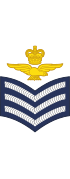 British RAF (Aircrew) OR-7.svg