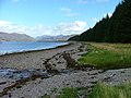 Camas nan Gall Looking east towards Ardintoul Point.