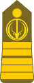 Chad-Army-OF-5.svg