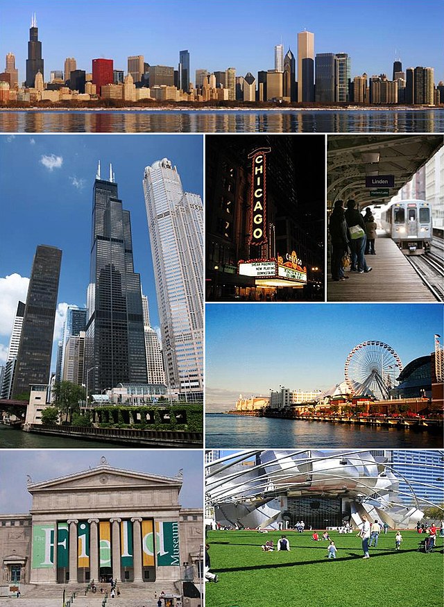 מלמעלה בכיוון השעון: אזור הלופ, תיאטרון שיקגו, 'The 'L, נייבי פיר, פארק המילניום, מוזיאון פילד, ומגדל ויליס