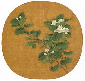 Branch of Flowering White Jasmine