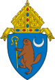 CoA Roman Catholic Diocese of Albany.svg