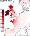 Thumbnail for Haplogroup R-L21