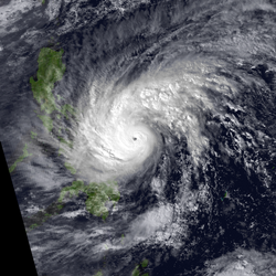 Le typhon Durian s'approche des Philippines à son intensité maximale le 29 novembre