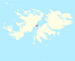 Расположение Лебединых островов на Фолклендских островах