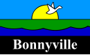 Drapeau de Bonnyville