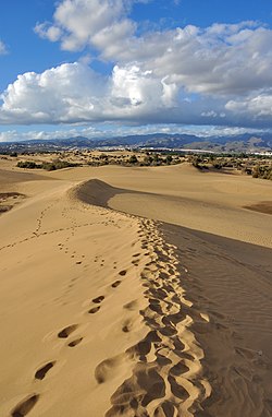 Wydmy w Maspalomas