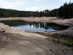 Gröntjärnens stränder är fria från vegetation. De ständiga växlingarna i sjöns vattenstånd och den magra jordmånen gör det svårt för växter att slå rot.