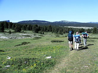 Hauts Plateaux du Vercors.