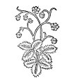 Hortus sanitatis 1491. Fragaria