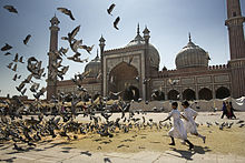 Girls chase doves in front of the Jama Masjid in Delhi. The mosque is one of the largest in India. India - Delhi girls chasing doves - 6159.jpg