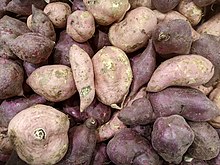 Ipomoea batatas - Tubérculos