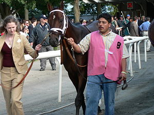 Belmont Stakes, June 10th 2006, winner Jazil.