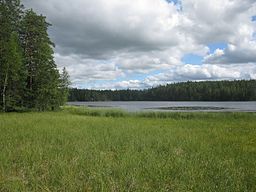 Kankareenjärvi 24 juli 2015