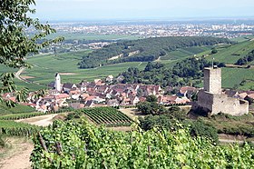 Katzenthal&#160;: château du Wineck, avec le village en contrebas. À l'arrière-plan: la plaine d'Alsace, où s'étire l'agglomération colmarienne.