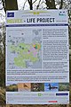 Life-project 'Helvex' op de Kalmthoutse heide