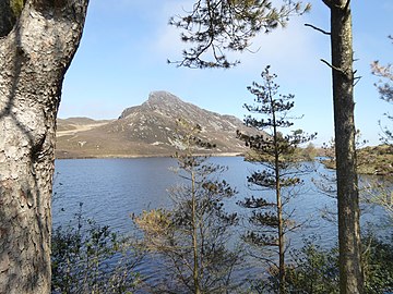 Pared y Cefn Hir