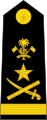 Maldives Army OF-9.svg