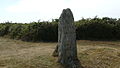 Menhir de Mez-Kerlard