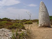 Menir de Aspradantes