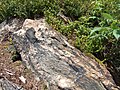 Mineralienreicher Felsbrocken am steilen Südhang