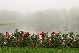 Neeruti mõisa park