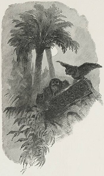 English: Two owls among the palm trees.