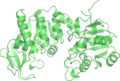 PDB: 1VPE​. Phosphoglycerate kinase. Thermotoga maritima.
