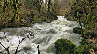 La Reverotte en crue dans le Défilé des Epais Rochers.