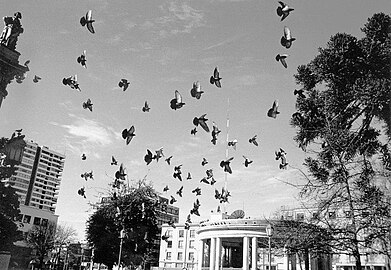 Plaza de la Independencia, y Plaza de Armas o Concepcion