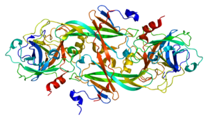 Protein F11 PDB 1xx9.png
