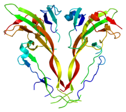 Protein INHBA PDB 1nys.png