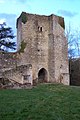 Tour castrale du château (janv. 2012)