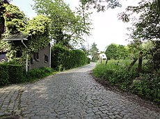 Sint-Denijs-Boekel - Molenberg 2.jpg