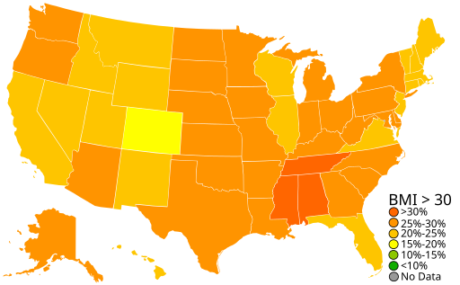 USA Obesity 2007