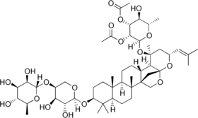 Image illustrative de l’article Ziziphine