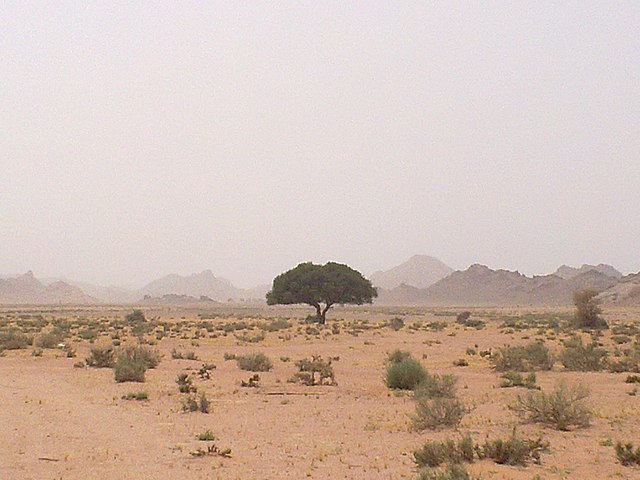 Paisagem desértica