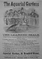 Advertisement for "the learned seals," 1860
