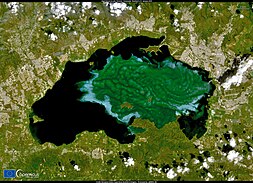 An algal bloom in Lake Valencia, the largest freshwater lake in Venezuela. Since 1976 the lake has been affected by eutrophication caused by wastewater. Algal bloom in the Lake Valencia - Venezuela.jpg
