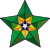 «Բրազիլական աստղ» շքանշանը տրամադրվում է այն մասնակիցներին, որոնք «Մոլորակի շուրջը» նախագծի շրջանակներում զարգացնում են Բրազիլիայի թեմատիկան Հայերեն Վիքիպեդիայում։