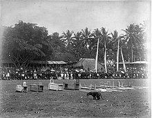 Photographie en noir et blanc. Un tigre prostré devant des cages en bois. À l'arrière-plan, le public et des hommes armés de piques.