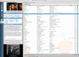 Clementine 1.2 su Linux