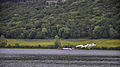 Steam Yacht Gondola op Coniston Water, Lake District