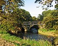 Nanny passes under Dardistown Bridge