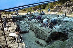 חפירות באתר הארכאולוגי דמניסי