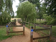 The shared use cycle/footpath, between Roehampton Gate and Sheen Gate, crosses Beverley Brook amid willows. Dual use path, Richmond Park - geograph.org.uk - 1453370.jpg