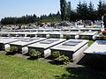 Groby diakonis na cmentarzu komunalnym