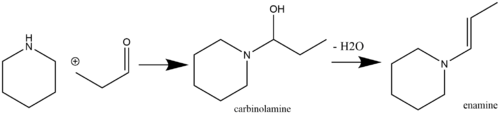 Syntéza enaminu přes karbinolaminový meziprodukt